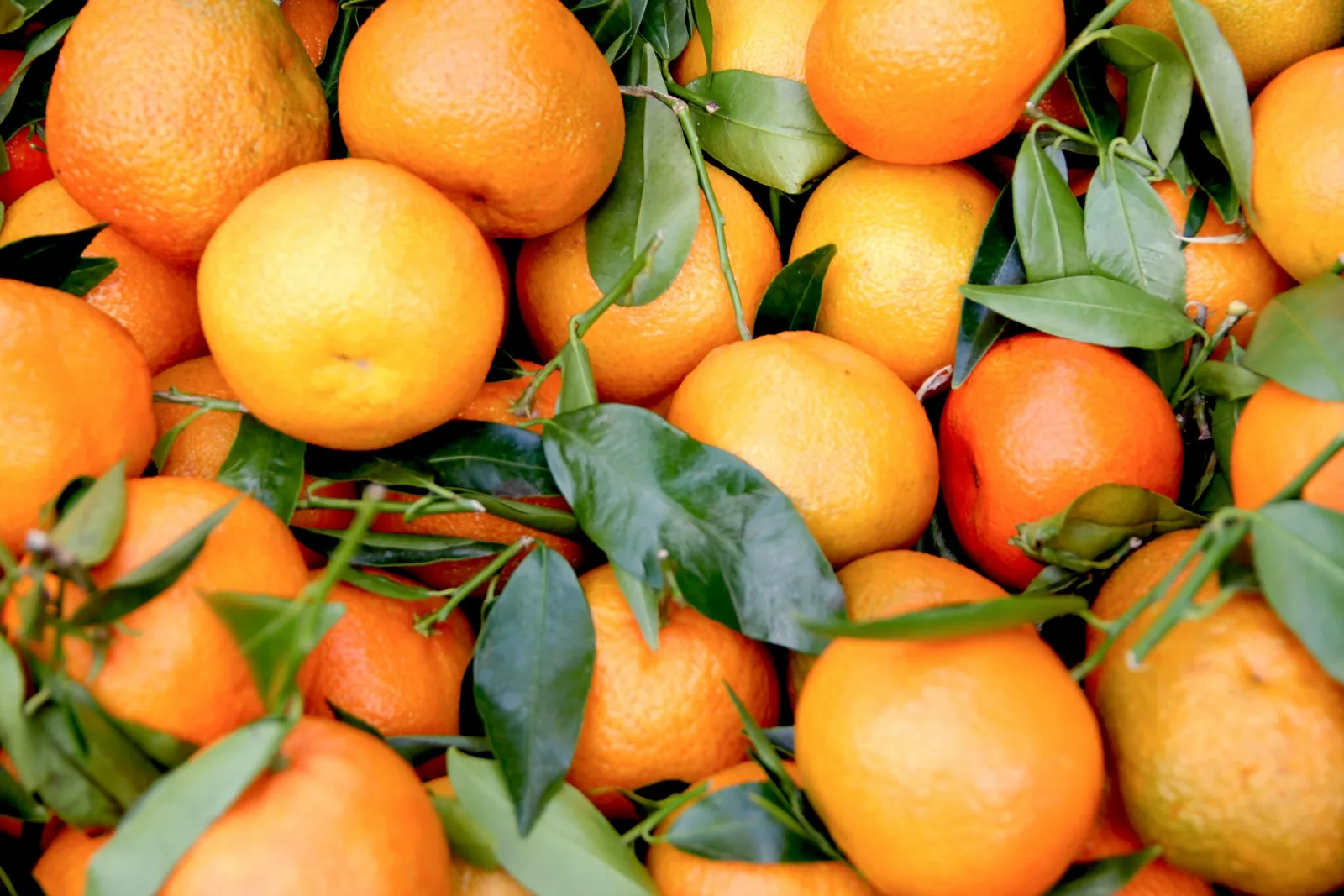 CITRI CARE